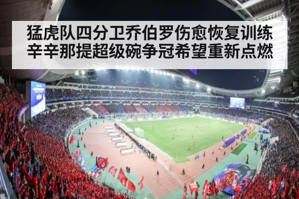 猛虎队四分卫乔伯罗伤愈恢复训练 辛辛那提超级碗争冠希望重新点燃